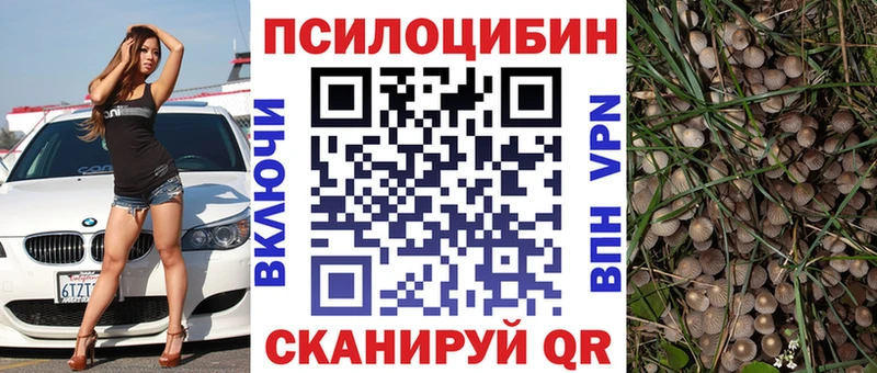 Псилоцибиновые грибы Psilocybine cubensis  Купить где  Куровское 